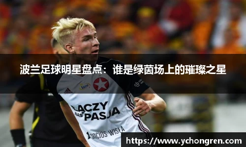 波兰足球明星盘点：谁是绿茵场上的璀璨之星